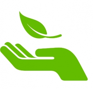 personal-sustainability-icon